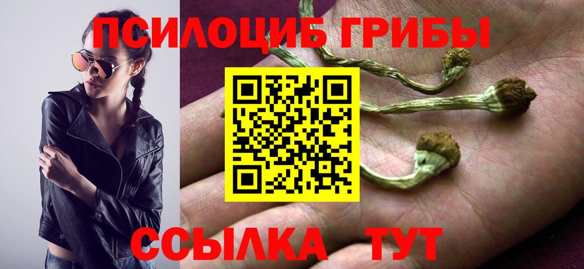 Псилоцибиновые грибы Magic Shrooms  Псилоцибиновые грибы Cubensis  Вход с VPN  Зеленодольск 